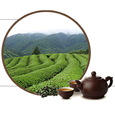 公司介绍